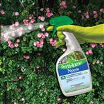 16096 Neem RTU lifestyle